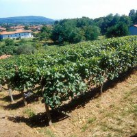 Cascina Piano Estate